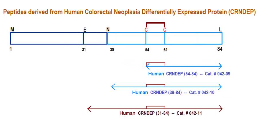 CRNDEP Structure